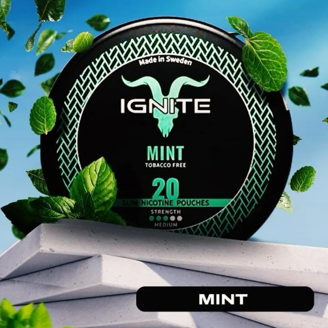 IGNITE Mynte
